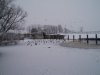 P1010186.JPG