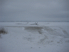 IMG_5833.gif