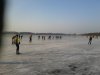 nannewiid 17-1-13.jpg