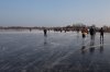 _MG_0520.jpg