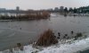 Rotte 190113.jpg