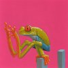 red_eyed_tree_frog-painting (1).jpg