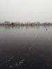 bargerveen 2.jpg
