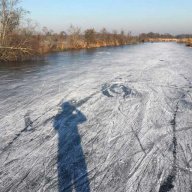 Schaatsmuis